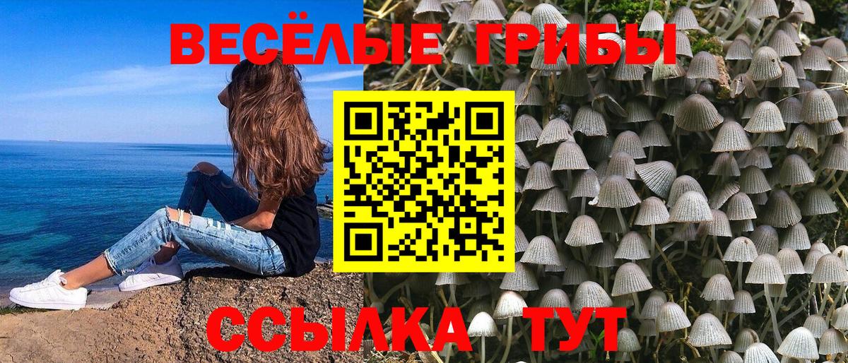 Псилоцибиновые грибы прущие грибы  Вход с VPN  Нерюнгри 