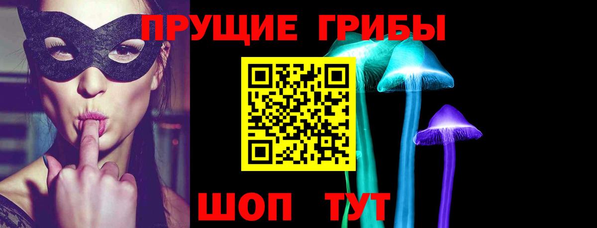 Псилоцибиновые грибы Psilocybe Нерюнгри